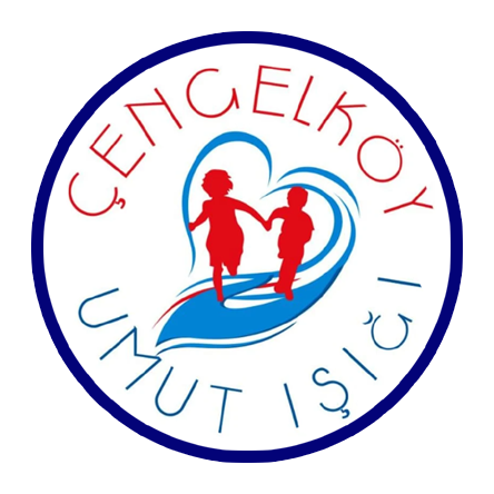 Zihinsel Yetersizlikte Bireysel Gelişim Odaklı Eğitim